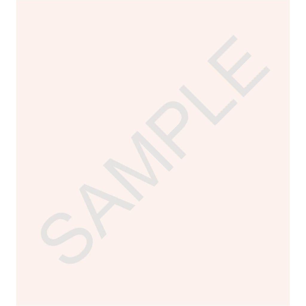 Lesson Spice Consumable Workbook