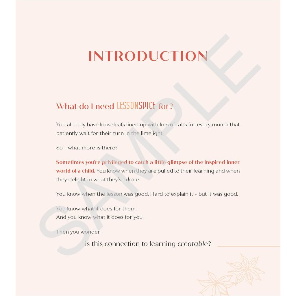 Lesson Spice Consumable Workbook