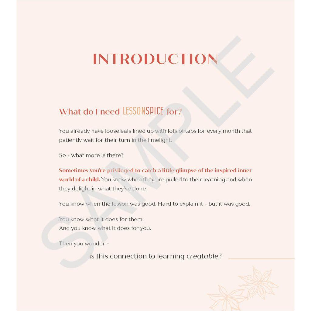 Lesson Spice Consumable Workbook