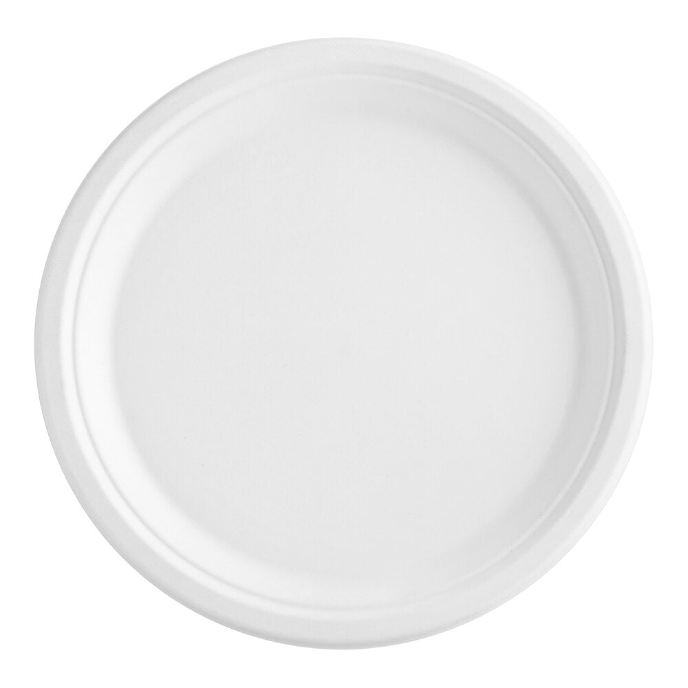 PLATE: microwaveable, approx 10"