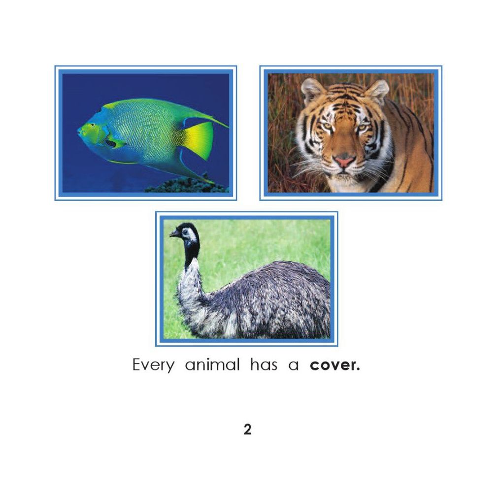 Animal Habitats