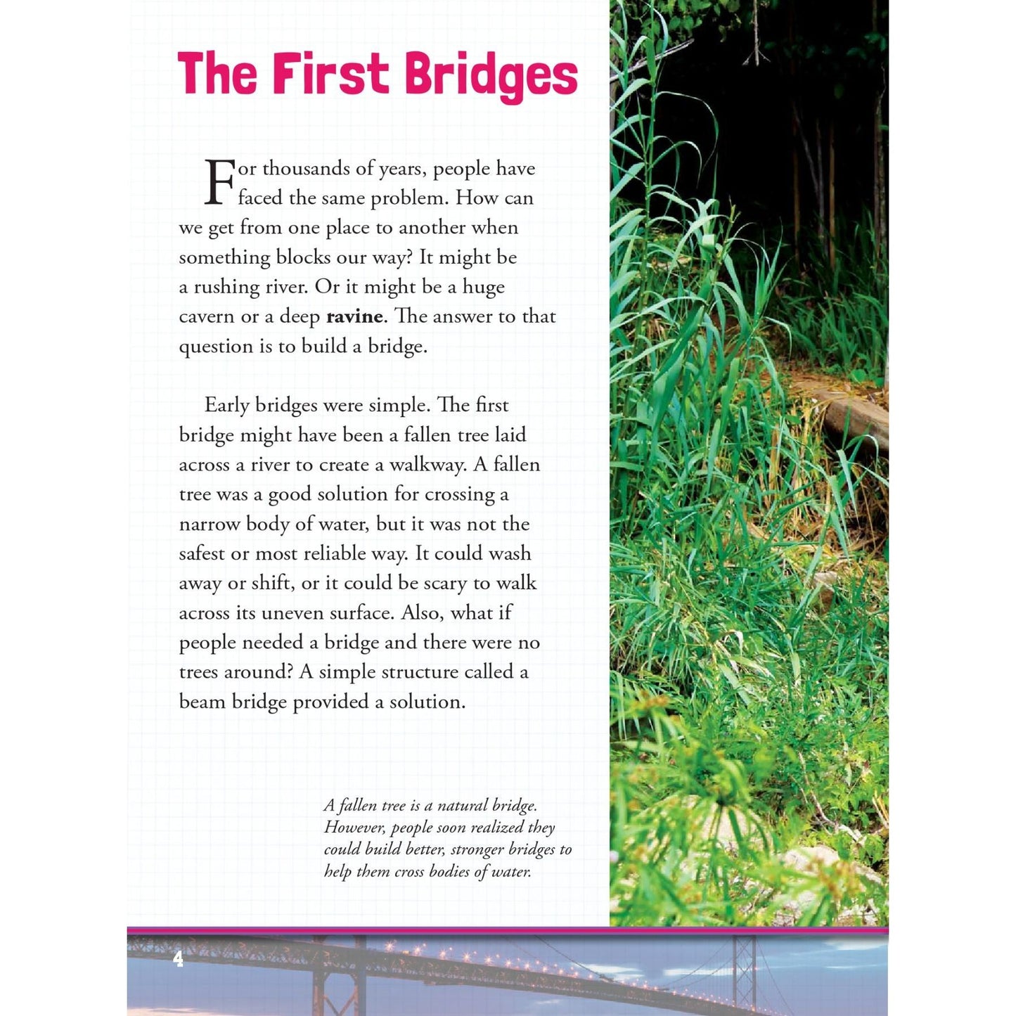 Bridges