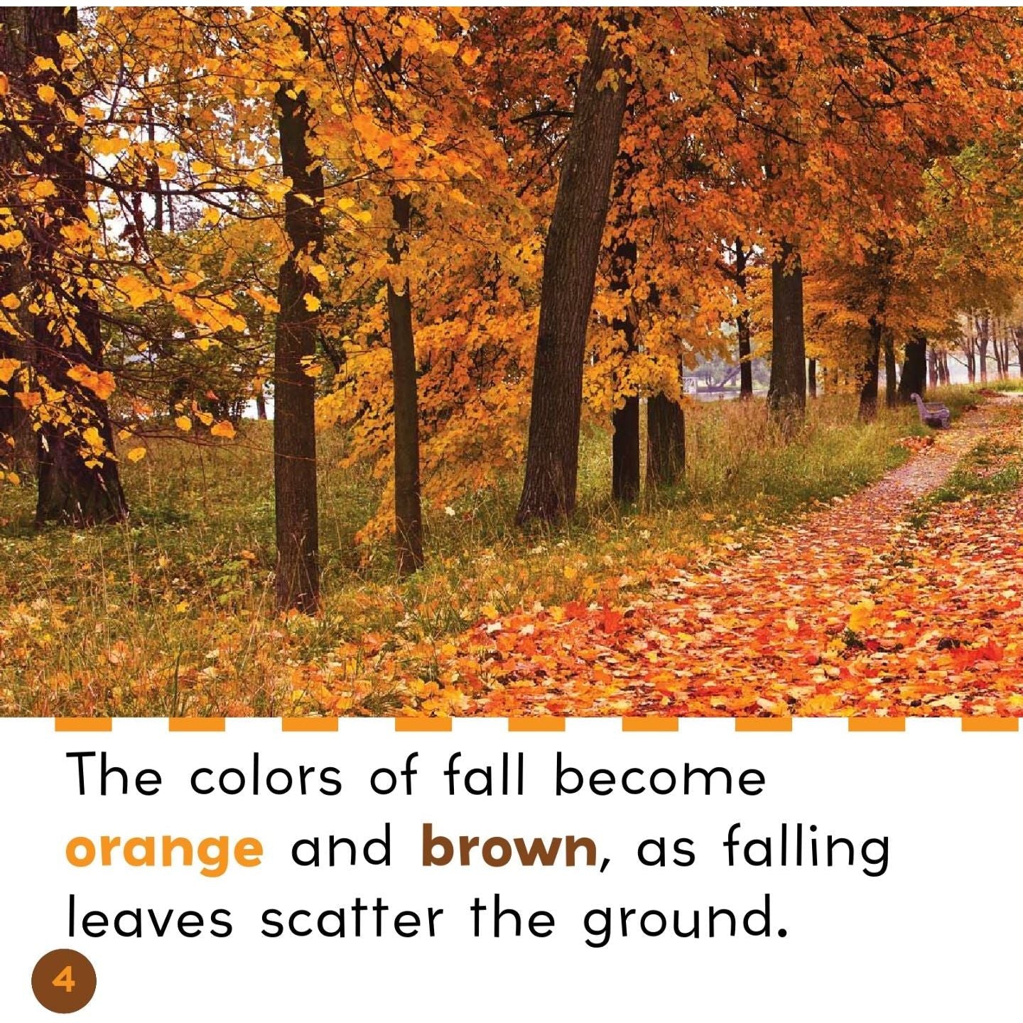 Brown and Orange in Fall