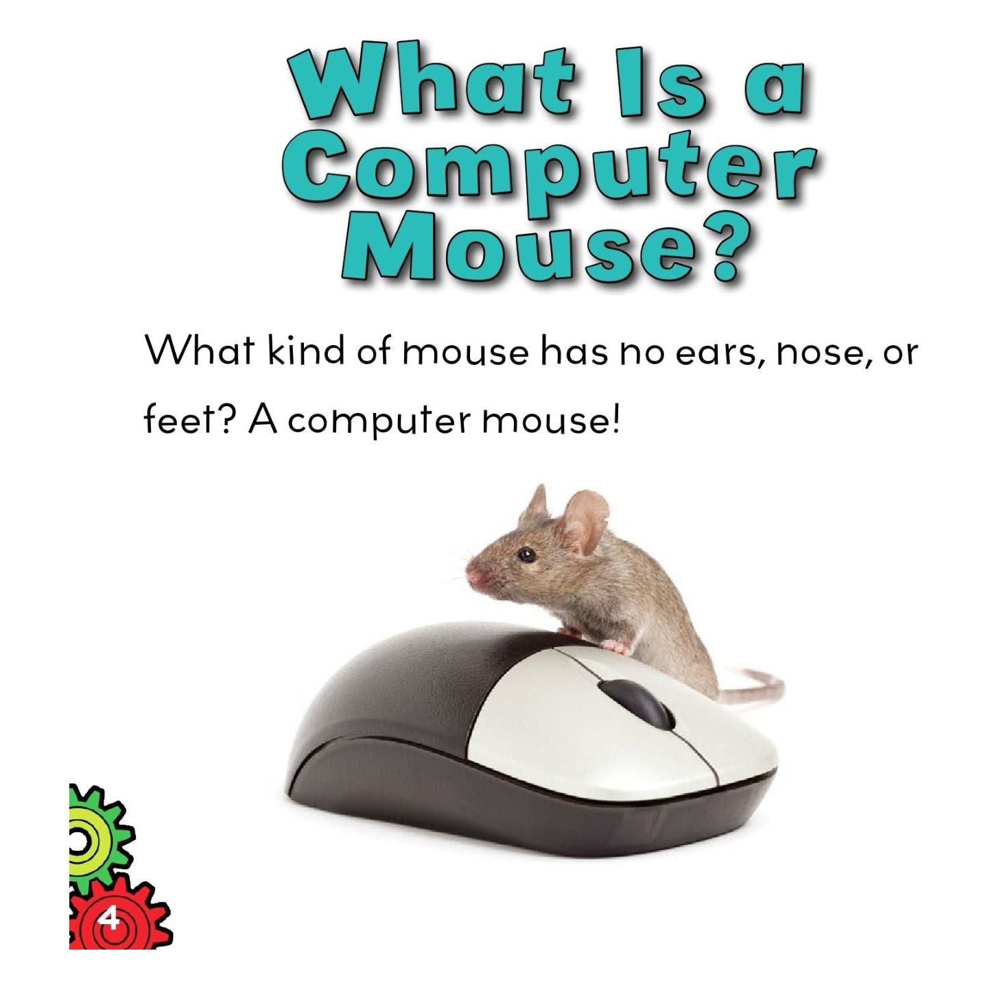Computer Mouse