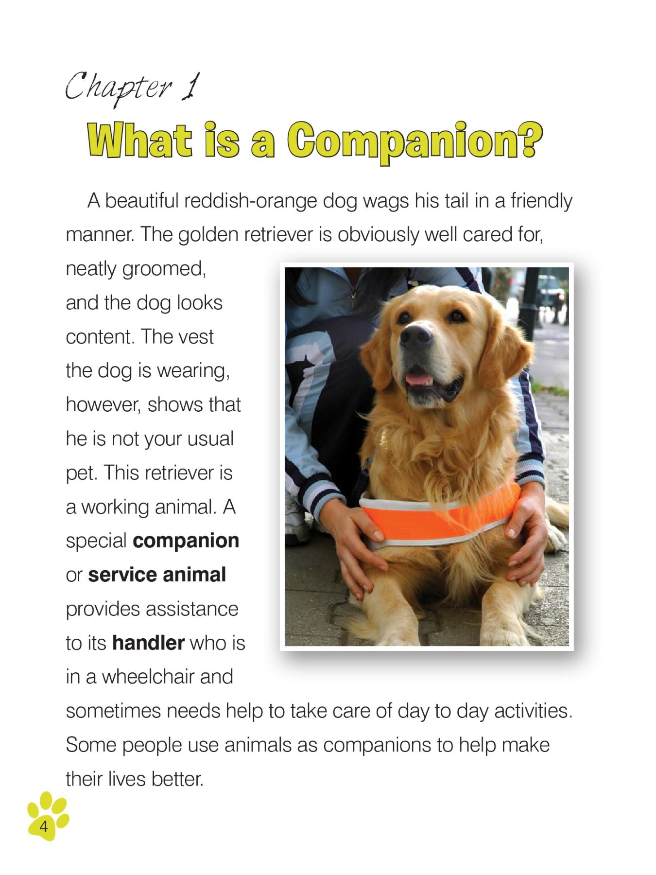 Companion and Therapy Animals