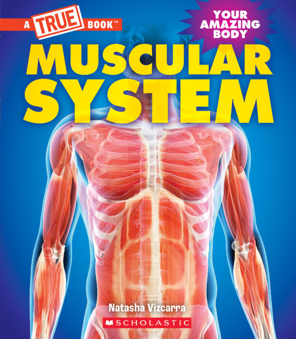 A true book: muscular system