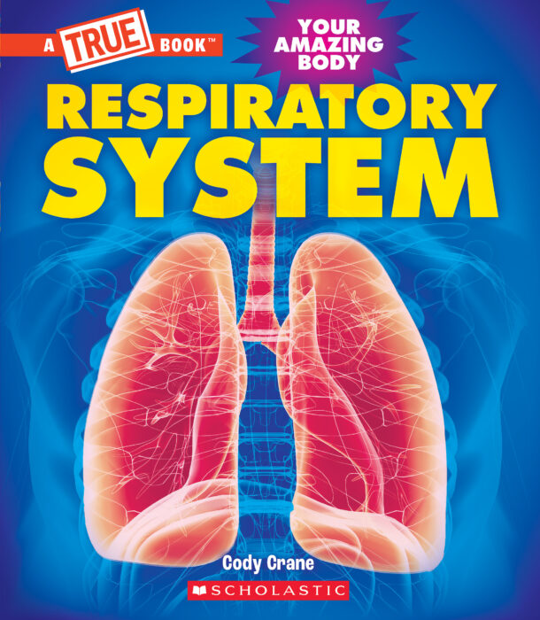 A true book: respiratory system