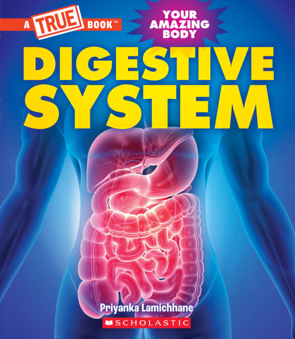 A true book: digestive system
