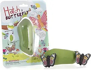Hatch A Butterfly