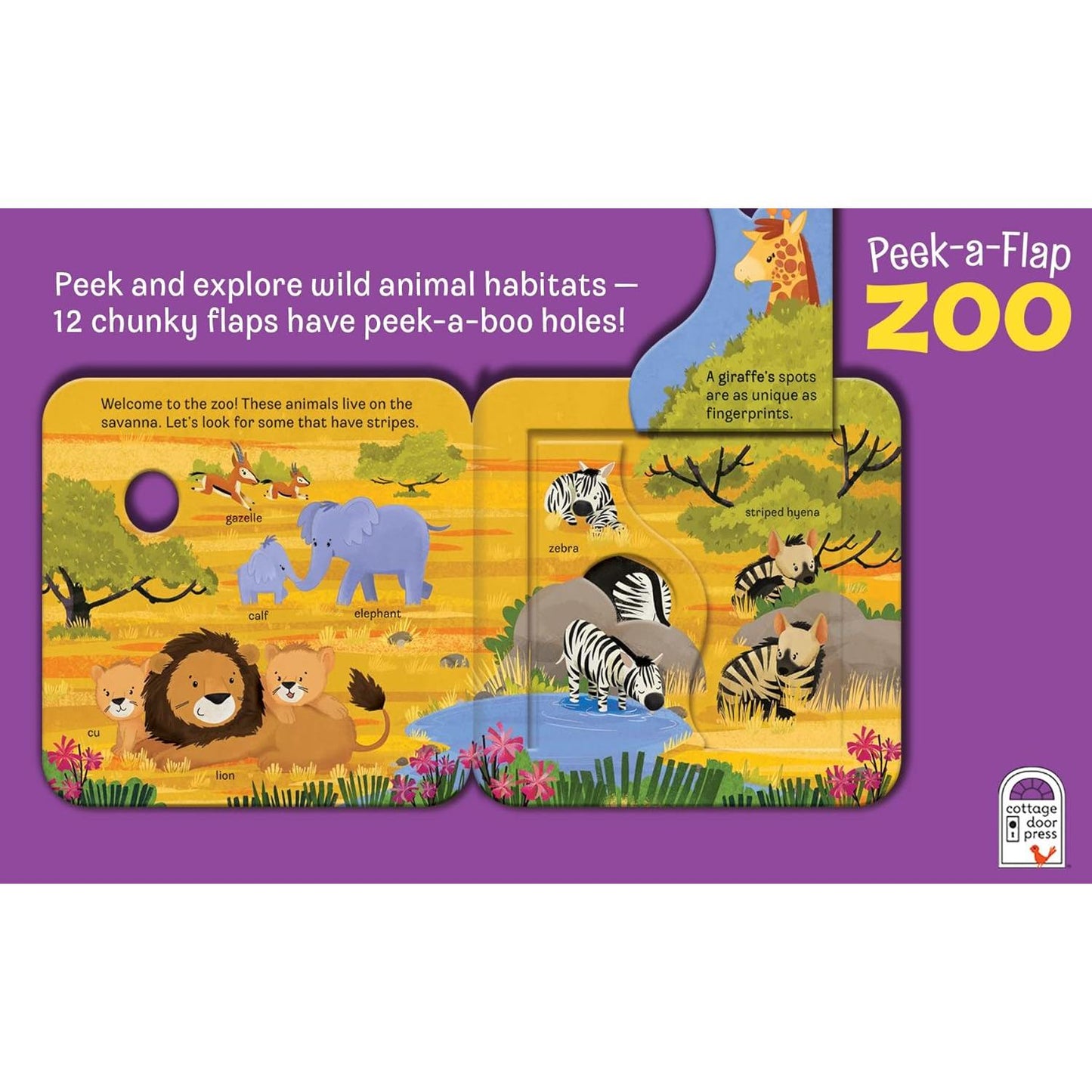 Zoo: Peek-a-Flap Board Book