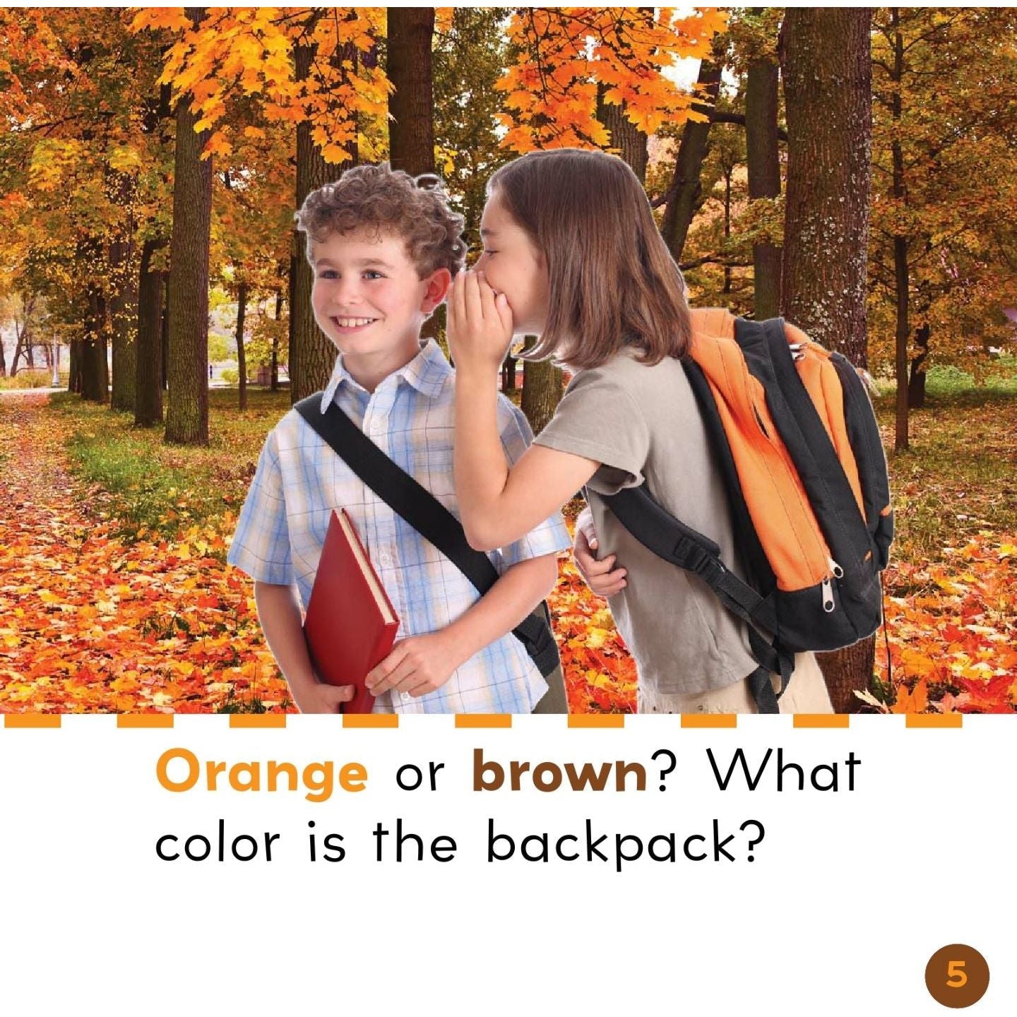 Brown and Orange in Fall
