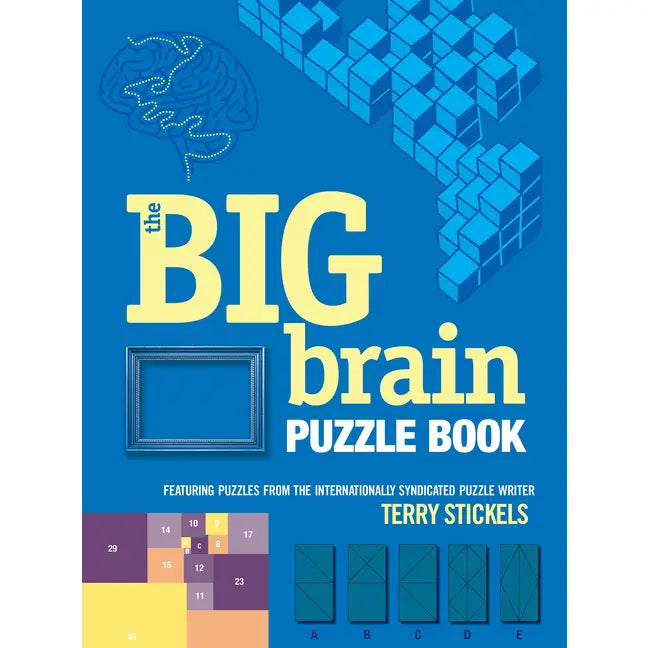 Big Brain Puzzle Book