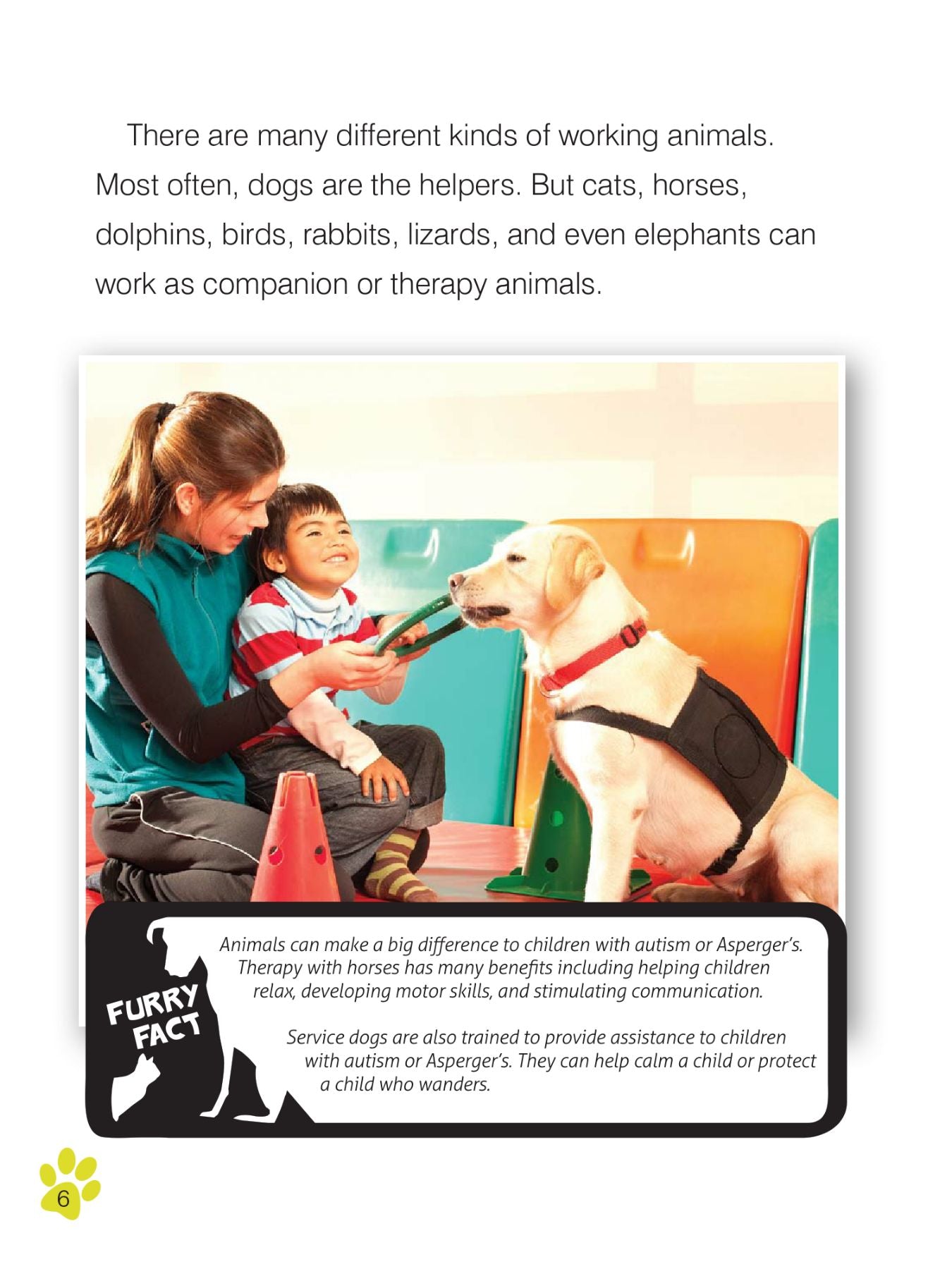 Companion and Therapy Animals