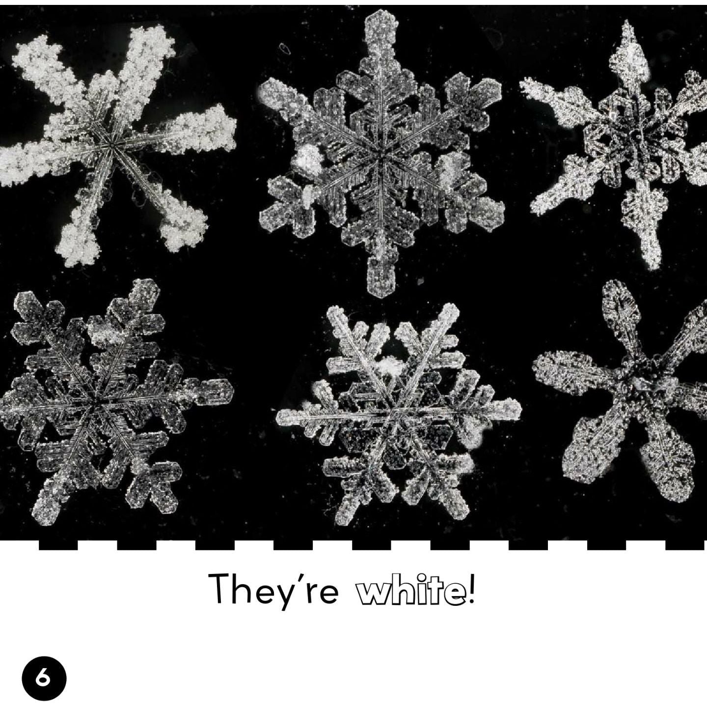 Black and White in Winter