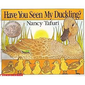Have You Seen My Duckling?