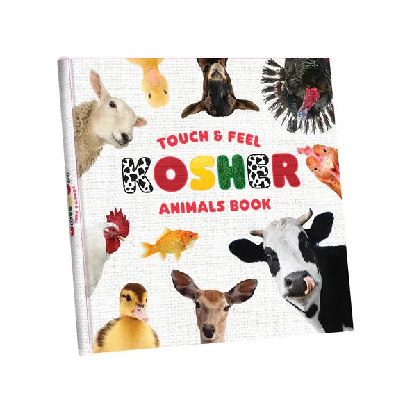 My First Touch and Feel Animal Book