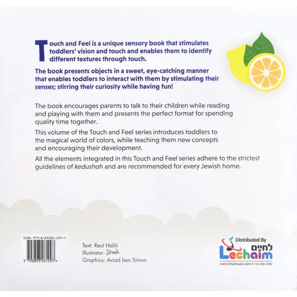 Touch and Learn - Board Book