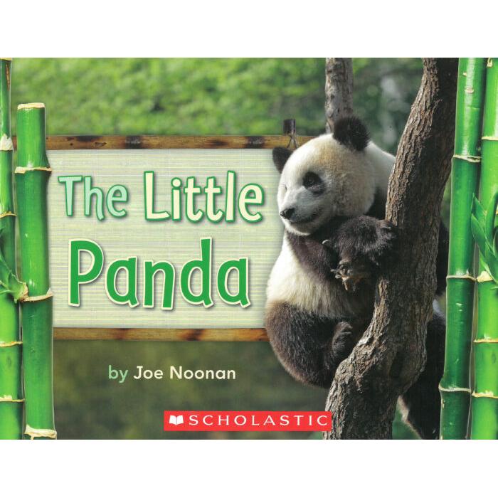 The Little Panda