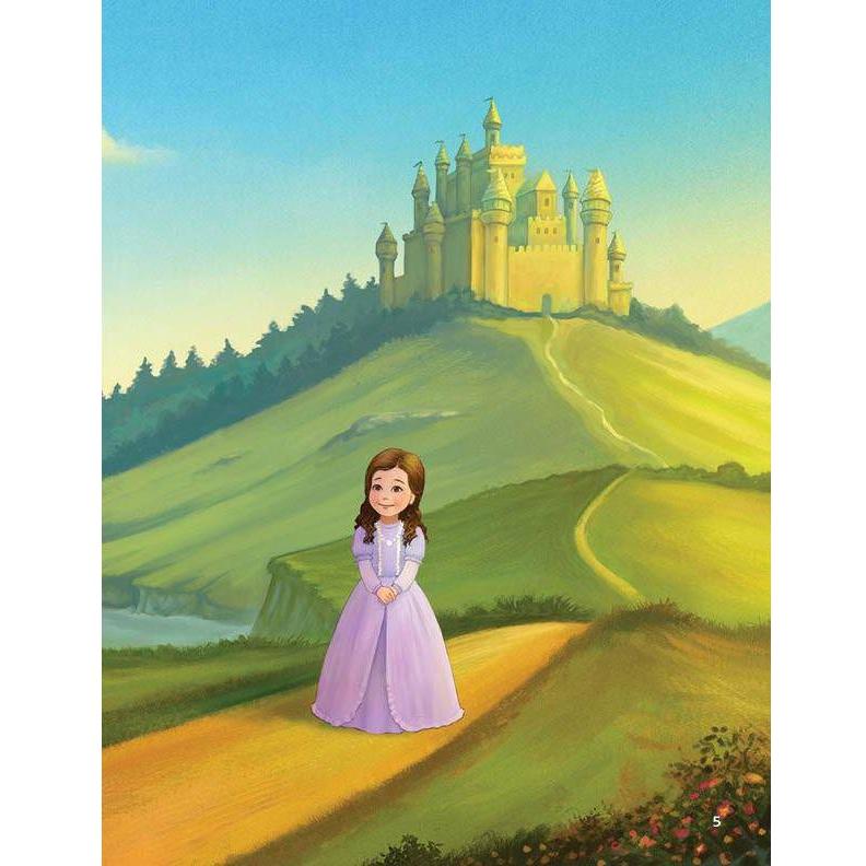 A Treasure for the Princess