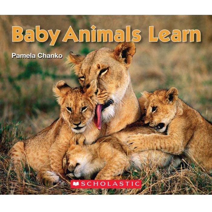 Baby Animals Learn