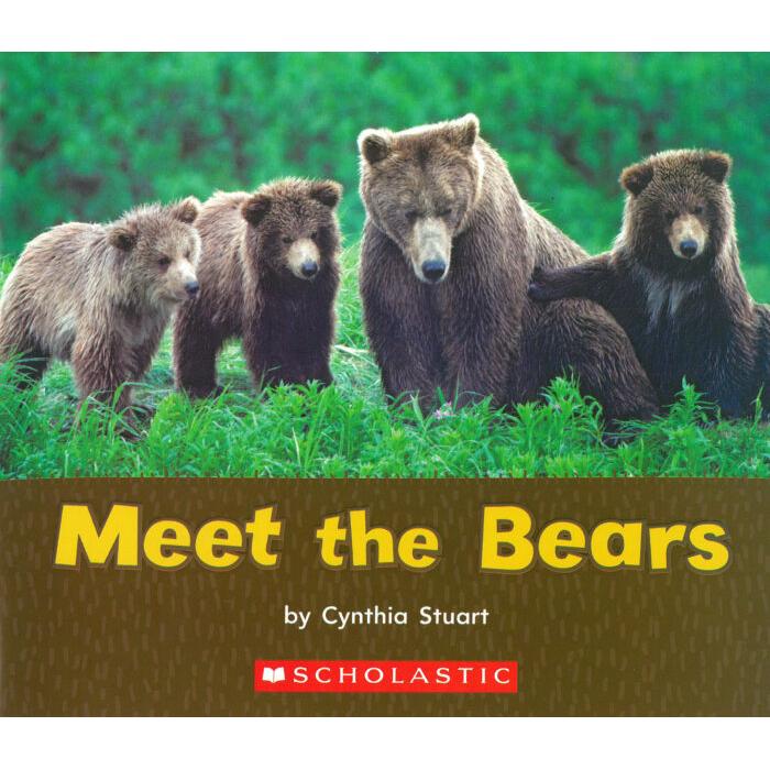 Meet the Bears