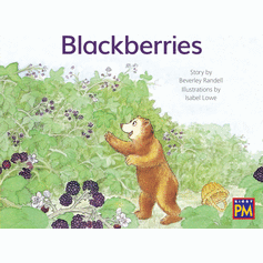 Blackberries