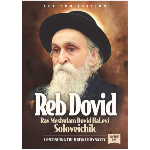 Reb Dovid