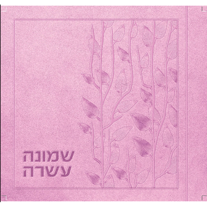 Shemonei Esrei Scrapbooks - in ENGLISH