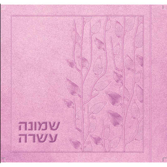 Shemonei Esrei Scrapbooks - in ENGLISH
