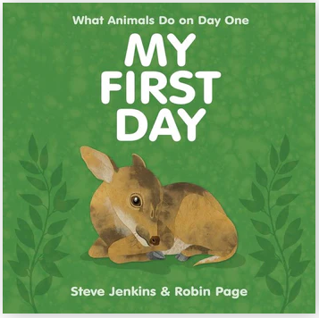 My First Day - Hardcover