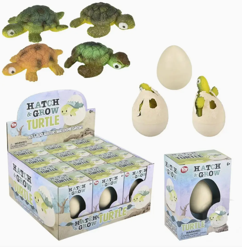 Hatch And Grow Turtle