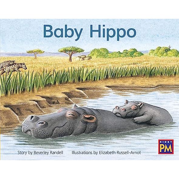 Baby Hippo