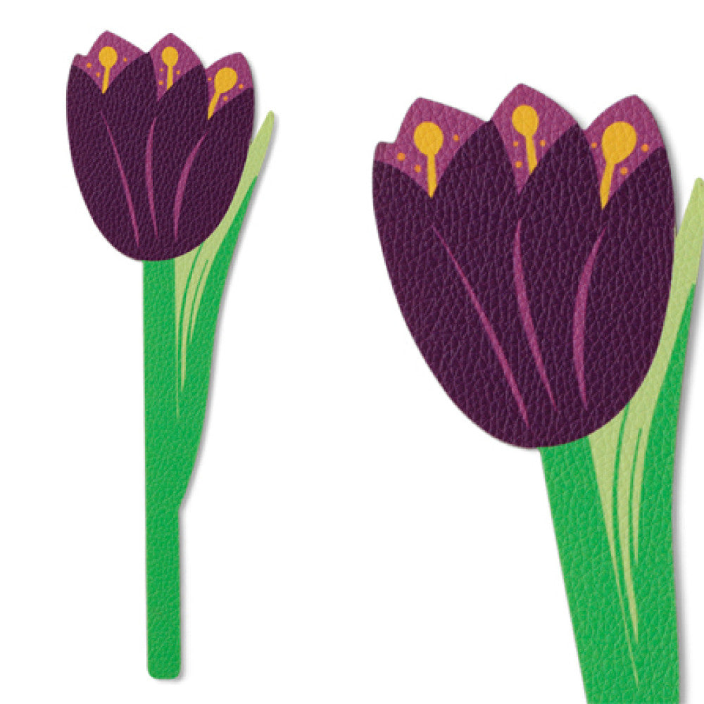 PURPLE TULIP