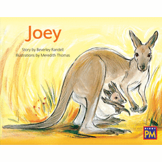 Joey