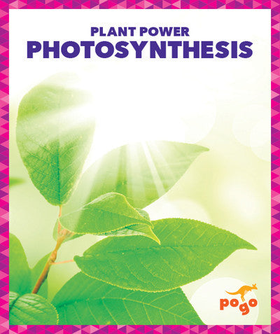 Plant power series: photosynthesis