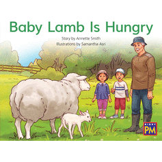 Baby Lamb Is Hungry