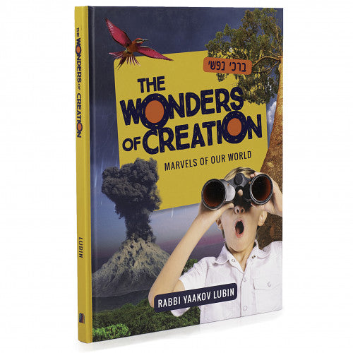 The Wonders Of Creation