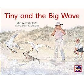 Tiny and the Big Wave