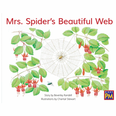 Mrs. Spider's Beautiful Web