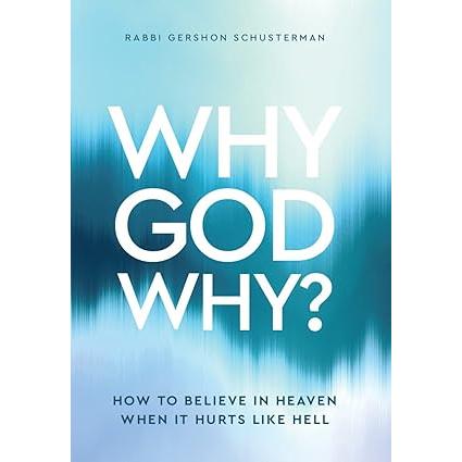 Why God Why: How to Believe in Heaven When It Hurts Like Hell