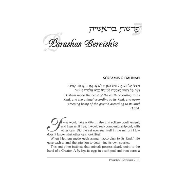 Rav Wolbe on Chumash Volume 2