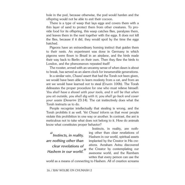 Rav Wolbe on Chumash Volume 2