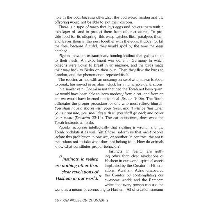 Rav Wolbe on Chumash Volume 2