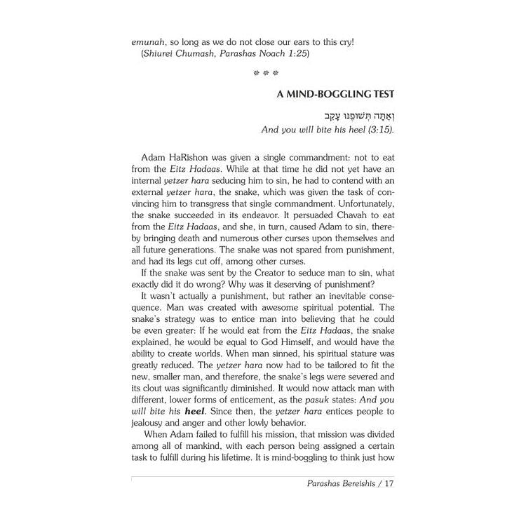 Rav Wolbe on Chumash Volume 2
