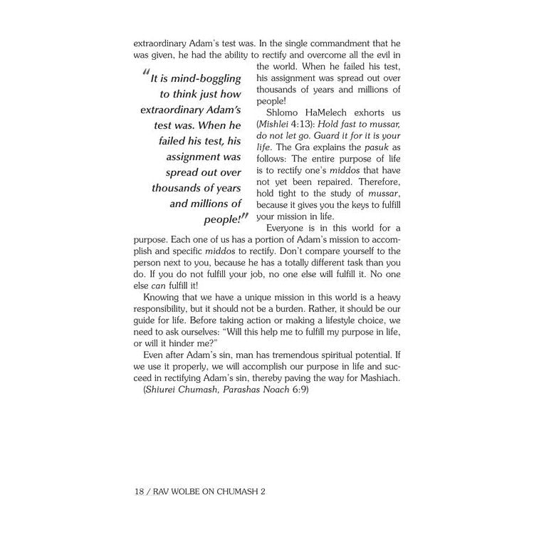 Rav Wolbe on Chumash Volume 2