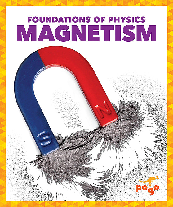 Foundations of Physics: magnetism