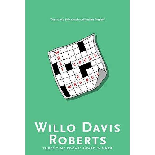 What Could Go Wrong - 9781481474900 - Simon And Schuster - Menucha Classroom Solutions