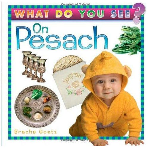 What Do You See On Pesach - 9781932443646 - Judaica Press - Menucha Classroom Solutions