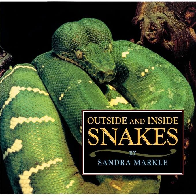 Outside and Inside Snakes