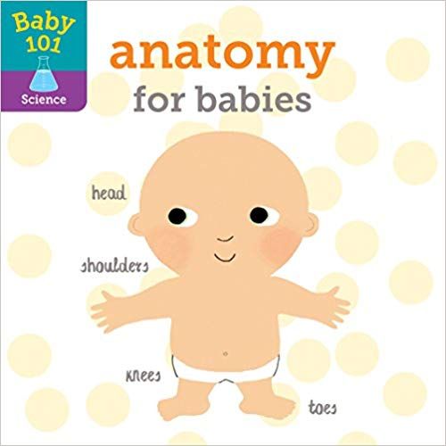 Baby 101: Anatomy for Babies - Board Book